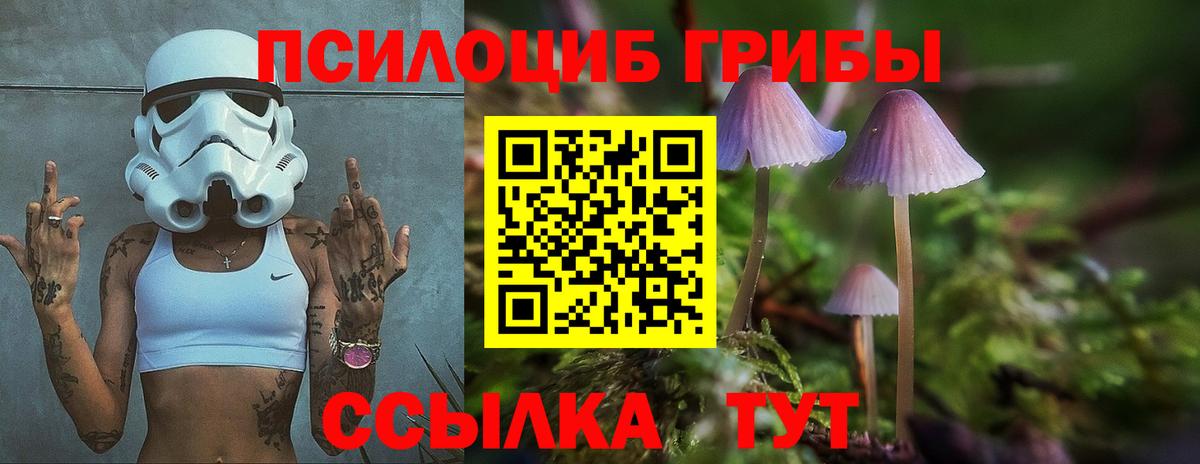 Стрежевой  Псилоцибиновые грибы прущие грибы  Вход с VPN  Галлюциногенные грибы мицелий 