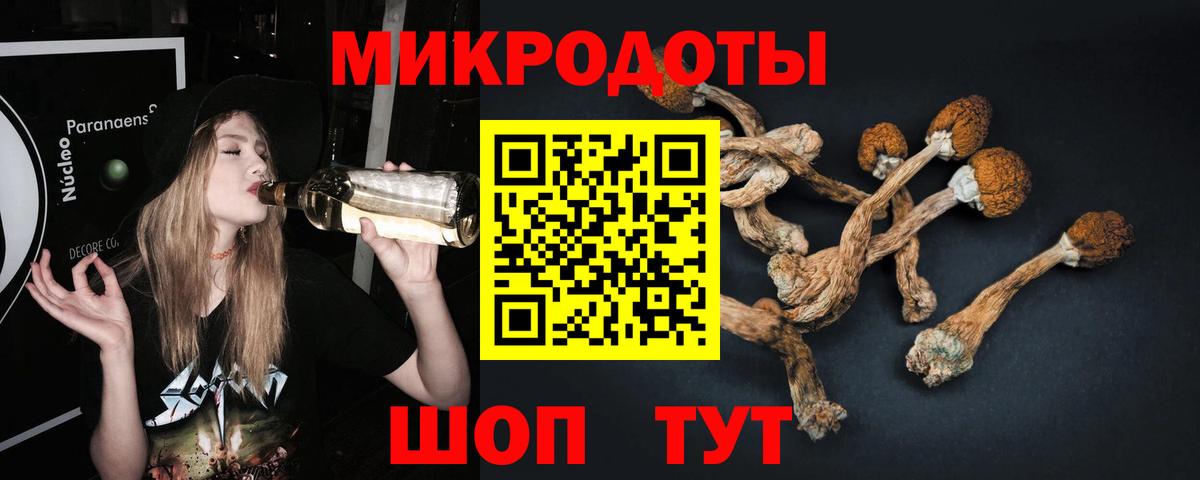 Галлюциногенные грибы мухоморы Стрежевой